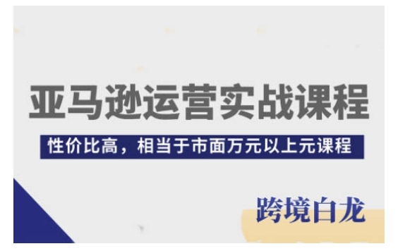 亚马逊运营实战课程，亚马逊从入门到精通，性价比高，相当于市面万元以上元课程-七七项目网