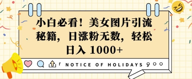 小白必看，美女图片引流秘籍，日涨粉无数，轻松日入几张【揭秘】-七七项目网