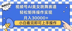 视频号蓝海赛道玩法，当天起号，拉爆流量收益，小白也能轻松月入30000+-七七项目网