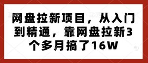 网盘拉新项目,从入门到精通,靠网盘拉新3个多月搞了16W-七七项目网