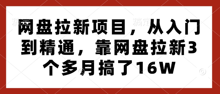 网盘拉新项目，从入门到精通，靠网盘拉新3个多月搞了16W-七七项目网