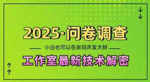 2025问卷调查最新工作室技术解密：一个人在家也可以闷声发大财，小白一天2张，可矩阵放大【揭秘】-七七项目网