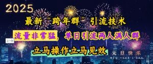 最新“跨年群”引流，流量非常猛，单日引流两人满人群，立马操作立马见效【揭秘】-七七项目网