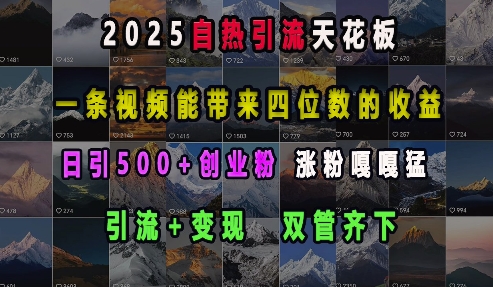 2025自热引流天花板，一条视频能带来四位数的收益，引流+变现双管齐下，日引500+创业粉，涨粉嘎嘎猛-七七项目网