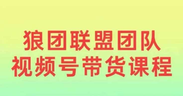 狼团联盟2024视频号带货，0基础小白快速入局视频号-七七项目网