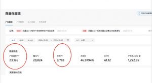 抖音雪花无人直播,一天躺赚3000+,0粉手机可搭建,不违规不限流,小白...-七七项目网