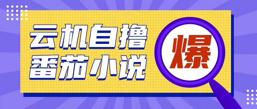 首发云手机自撸小说玩法，10块钱成本可撸200+收益操作简单【揭秘】-七七项目网