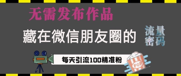 藏在微信朋友圈的流量密码，无需发布作品，单日引流100+精准创业粉【揭秘】-七七项目网