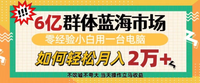 6亿群体蓝海市场，零经验小白用一台电脑，如何轻松月入过w【揭秘】-七七项目网