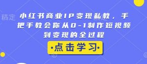 小红书商业IP变现私教,手把手教会你从0-1制作短视频到变现的全过程-七七项目网