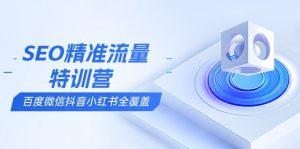 SEO精准流量特训营,百度微信抖音小红书全覆盖,带你搞懂搜索优化核心技巧-七七项目网