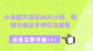 小说推文项目38天计划，剪辑与搬运多种玩法教程-七七项目网