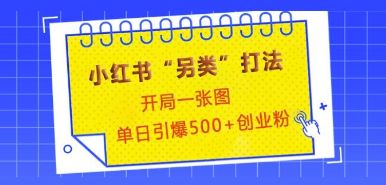 小红书“另类”打法，开局一张图，单日引爆500+精准创业粉【揭秘】-七七项目网