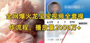 全网爆火龙宝宝视频全套操作流程,播放量2000万+-七七项目网
