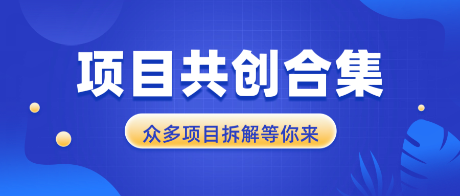项目共创合集，从0-1全过程拆解，让你迅速找到适合自已的项目-七七项目网