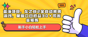 蓝海项目，龙之谷2全自动搬砖游戏，单窗口日收益30＋可批量矩阵-七七项目网