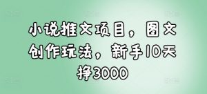 小说推文项目，图文创作玩法，新手10天挣3000-七七项目网