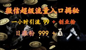 微信超级流量入口揭秘:一小时引流 99 + 创业粉,日涨粉 999 +-七七项目网