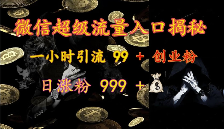 微信超级流量入口揭秘：一小时引流 99 + 创业粉，日涨粉 999 +-七七项目网