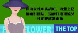 顶流女性IP实战班,流量上亿情绪引爆法,深度打磨顶流女性IP硬核基本功-七七项目网