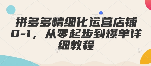 拼多多精细化运营店铺0-1，从零起步到爆单详细教程-七七项目网