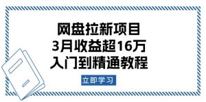 网盘拉新项目:3月收益超16万,入门到精通教程-七七项目网