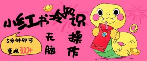 小红书冷知识账号,无脑复制粘贴,5分钟即可变现3张-七七项目网