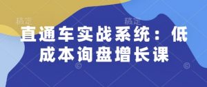 直通车实战系统：低成本询盘增长课，让个人通过技能实现升职加薪，让企业低成本获客，订单源源不断-七七项目网