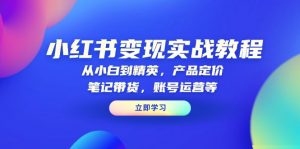 小红书变现实战教程：从小白到精英，产品定价，笔记带货，账号运营等-七七项目网