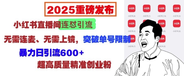 2025重磅发布：小红书直播间连怼引流，无需连麦、无需上镜，突破单号限制，暴力日引流600+-七七项目网