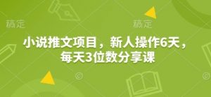 小说推文项目,新人操作6天,每天3位数分享课-七七项目网