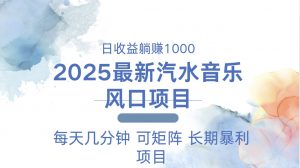 2025最新汽水音乐躺赚项目 每天几分钟 日入1000＋-七七项目网