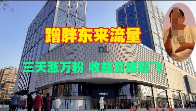 蹭胖东来流量，三天涨万粉，收益直接起飞-七七项目网