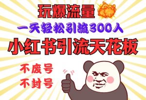 小红书引流天花板,玩爆流量,一天轻松引流300人,安全操作-七七项目网