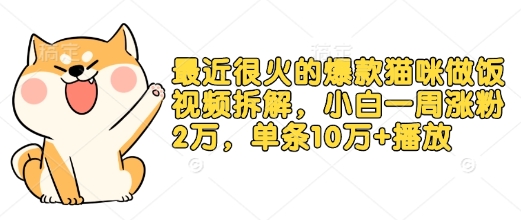 最近很火的爆款猫咪做饭视频拆解，小白一周涨粉2万，单条10万+播放(附保姆级教程)-七七项目网