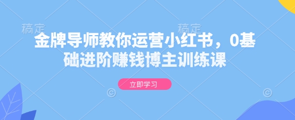 金牌导师教你运营小红书，0基础进阶赚钱博主训练课-七七项目网