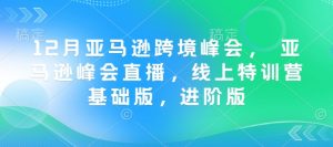 12月亚马逊跨境峰会, 亚马逊峰会直播,线上特训营基础版,进阶版-七七项目网