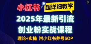 2025年最新小红书引流创业粉实战课程【超详细教学】小白轻松上手,月入1W+,附小红书养号SOP-七七项目网