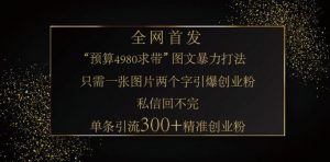 小红书神奇图片引流法,只需一张图,就能单条笔记凭借此方法,轻松引流 300 + 精准创业粉-七七项目网