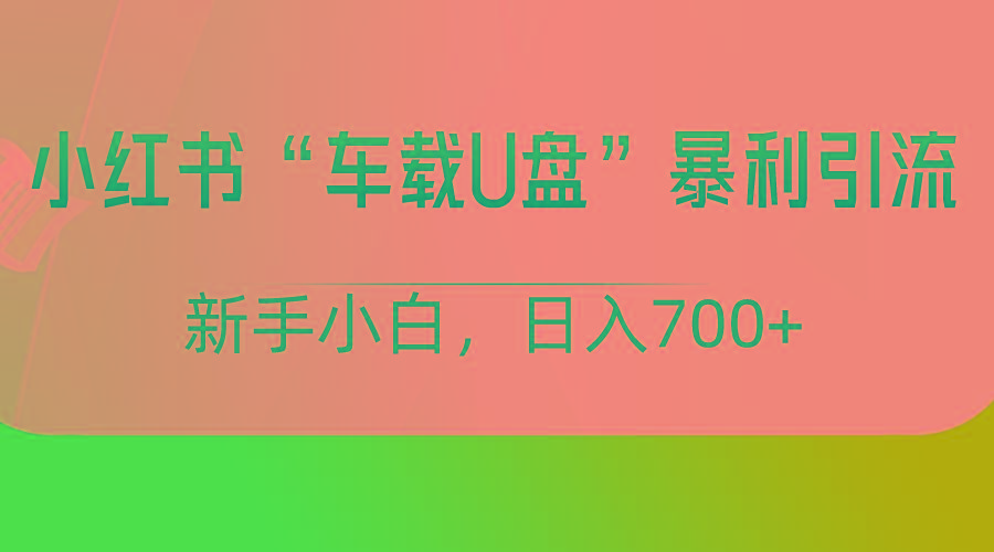 小红书“车载U盘”项目，暴利引流，新手小白轻松日入700+-七七项目网