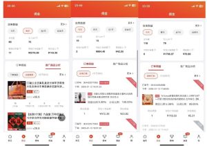 2025最新京东蓝海项目，0 门槛日入 1k+，小白宝妈轻松上手【揭秘】-七七项目网