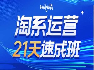淘系运营21天速成班35期，年前最后一波和2025方向-七七项目网