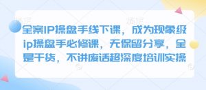全案IP操盘手线下课,成为现象级ip操盘手必修课,无保留分享,全是干货,不讲废话超深度培训实操-七七项目网