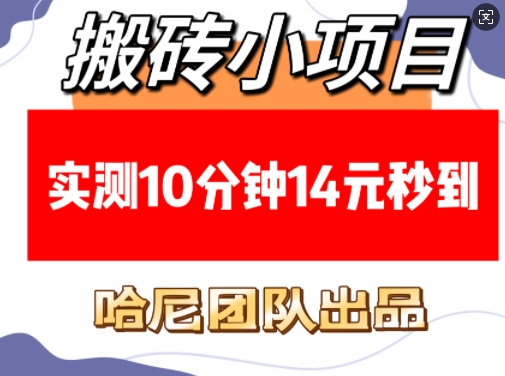 搬砖小项目，实测10分钟14元秒到，每天稳定几张(赠送必看稳定)-七七项目网
