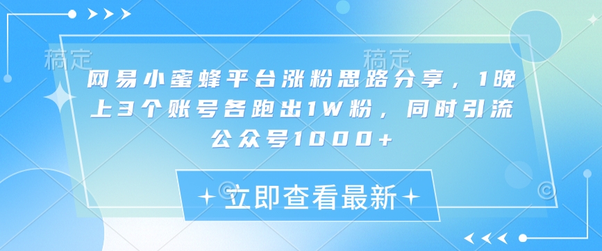 网易小蜜蜂平台涨粉思路分享，1晚上3个账号各跑出1W粉，同时引流公众号1000+-七七项目网