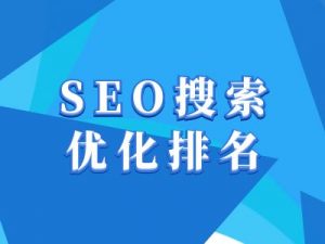 抖音搜索SEO教程，抖音SEO搜索优化排名-七七项目网