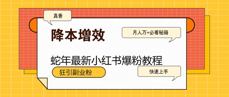 蛇年最新小红书爆粉教程，狂引副业粉，月入万+必看-七七项目网