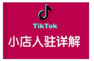 TikTok跨境小店运营全攻略，帮助你独立运营TK跨境小店的能力，实现销量增长-七七项目网