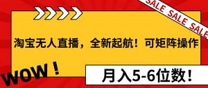 淘宝无人直播，全新起航！可矩阵操作，月入5-6位数！-七七项目网