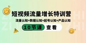 短视频流量增长特训营:流量认知+数据认知+起号认知+产品认知(10节课)-七七项目网